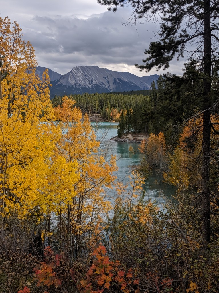 Grey-blue mountains in the fall behind a lake with trees with yellow and orange leaves in front