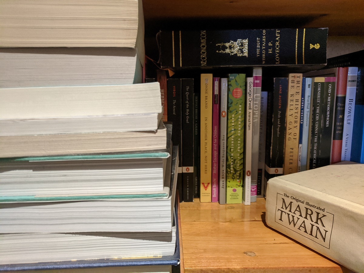 Book shelf book variety